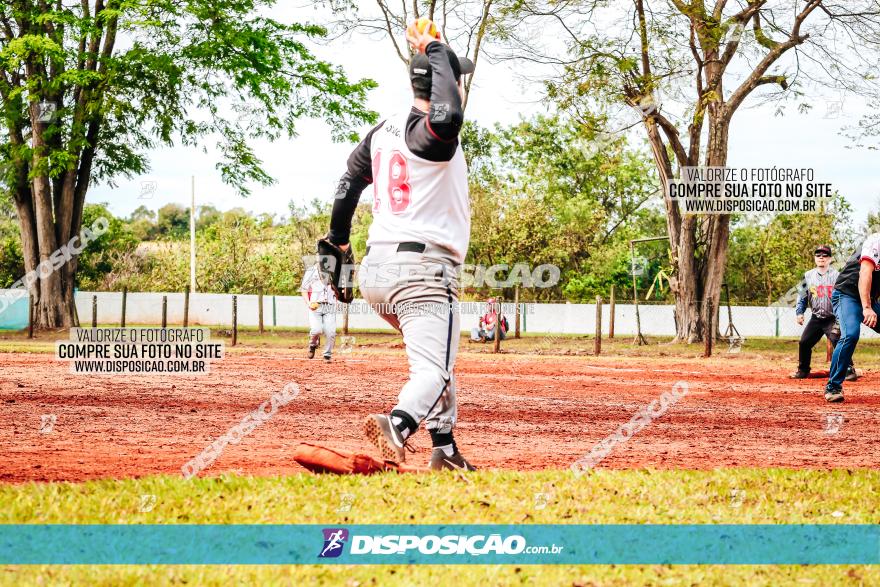 XXXII Brasileirão de Softbol