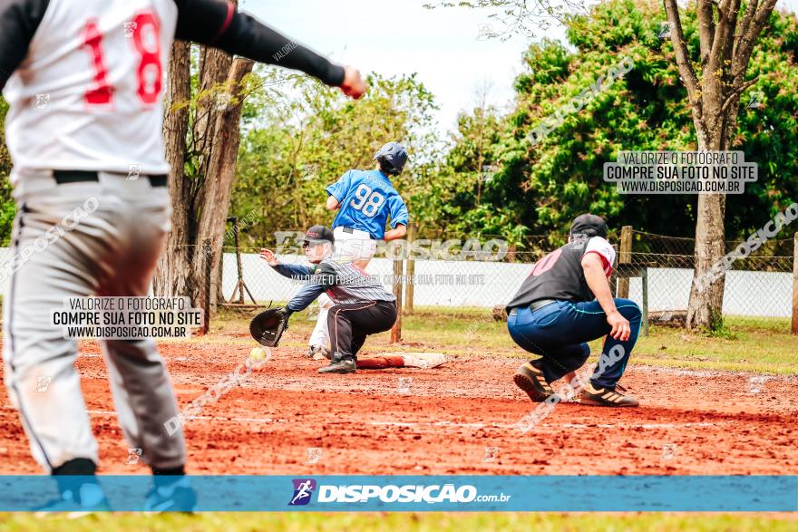 XXXII Brasileirão de Softbol