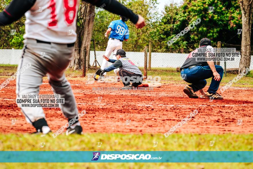 XXXII Brasileirão de Softbol