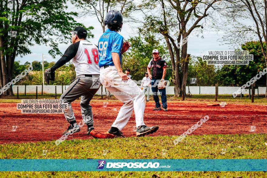 XXXII Brasileirão de Softbol