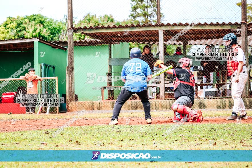 XXXII Brasileirão de Softbol