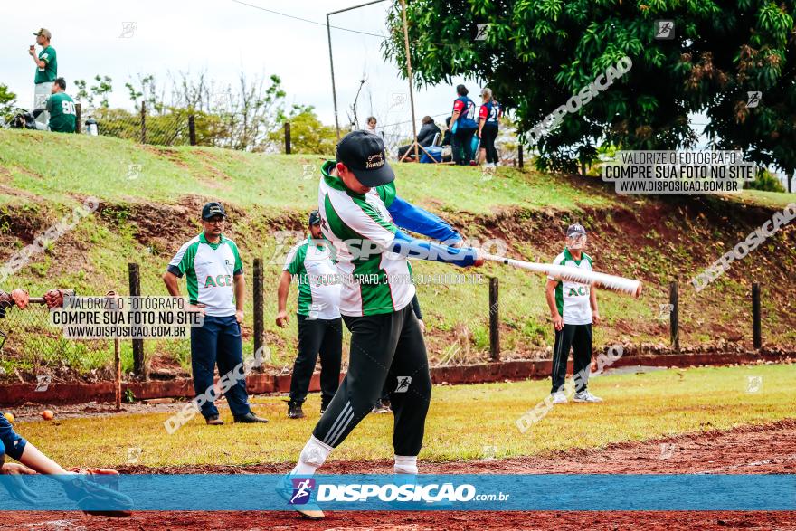 XXXII Brasileirão de Softbol