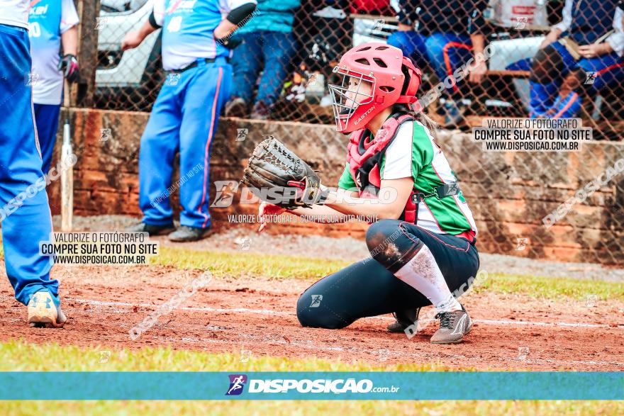 XXXII Brasileirão de Softbol