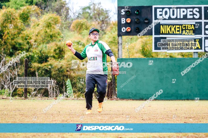 XXXII Brasileirão de Softbol