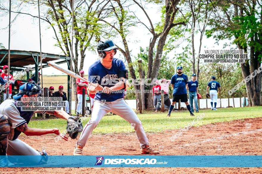 XXXII Brasileirão de Softbol