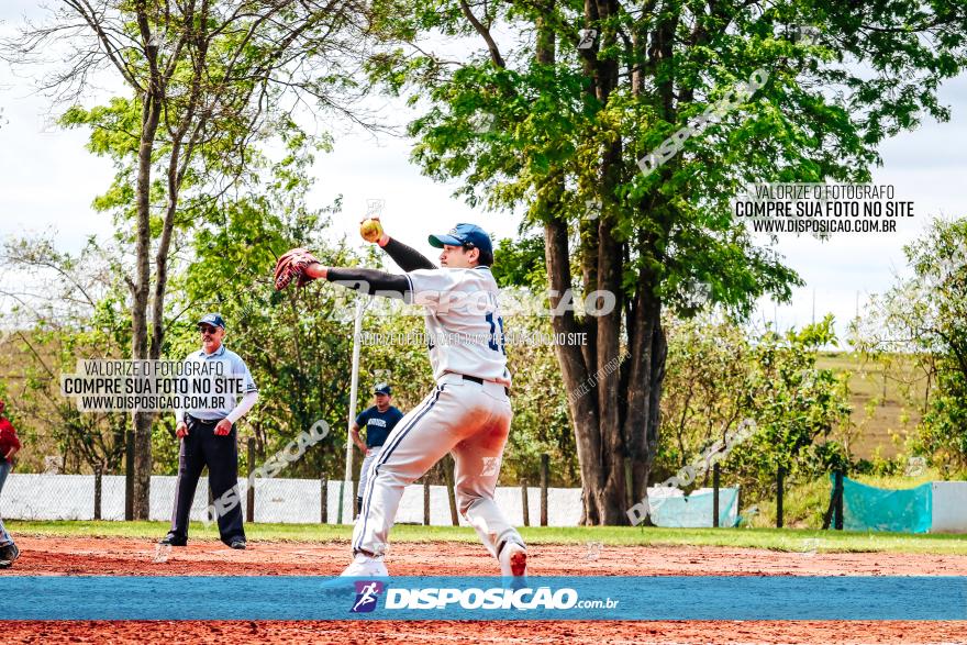 XXXII Brasileirão de Softbol