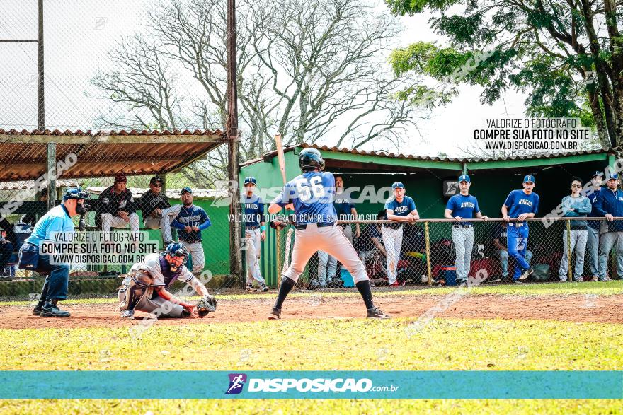 XXXII Brasileirão de Softbol