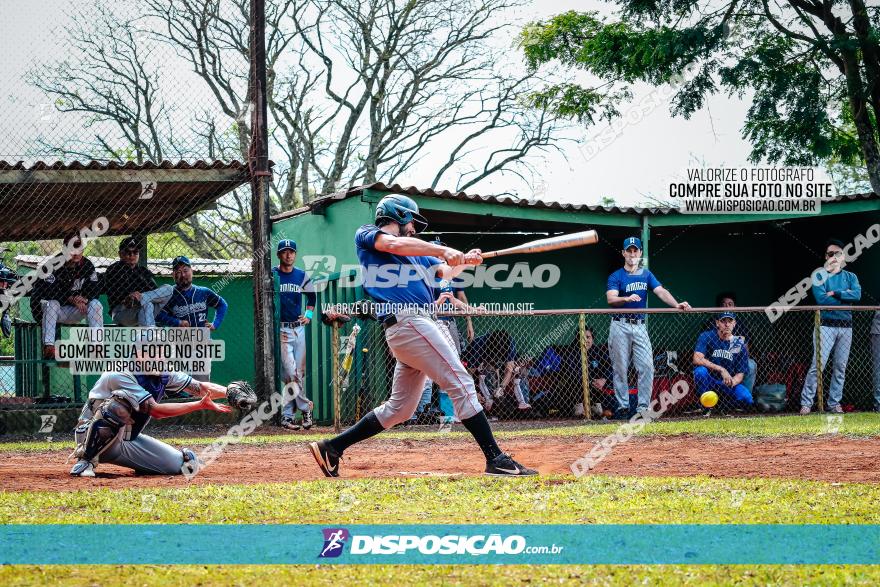 XXXII Brasileirão de Softbol