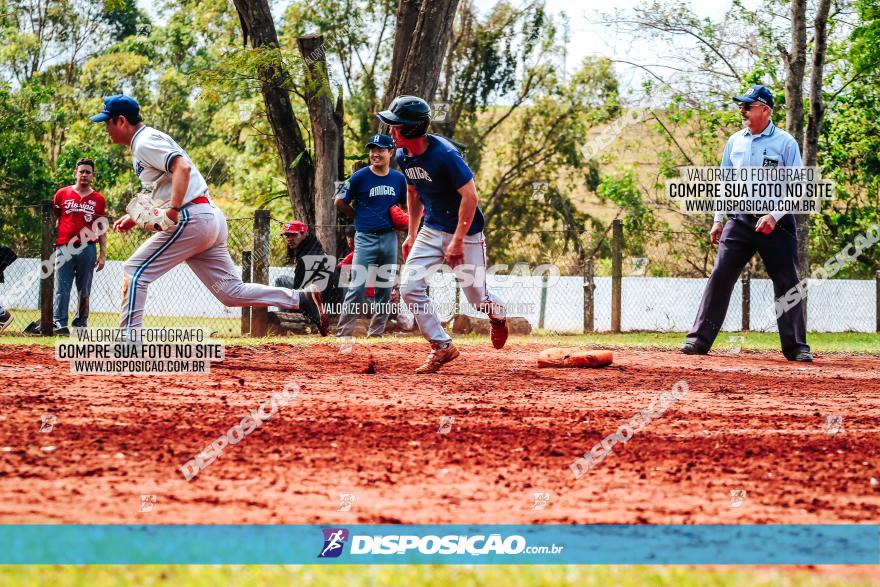 XXXII Brasileirão de Softbol