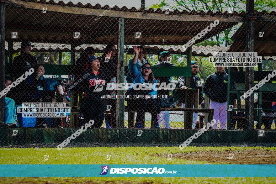 XXXII Brasileirão de Softbol