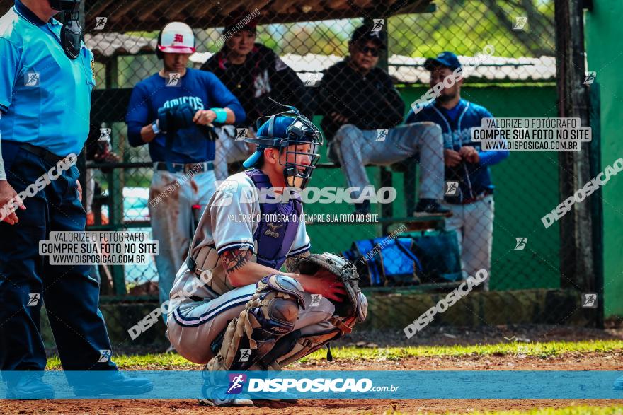 XXXII Brasileirão de Softbol