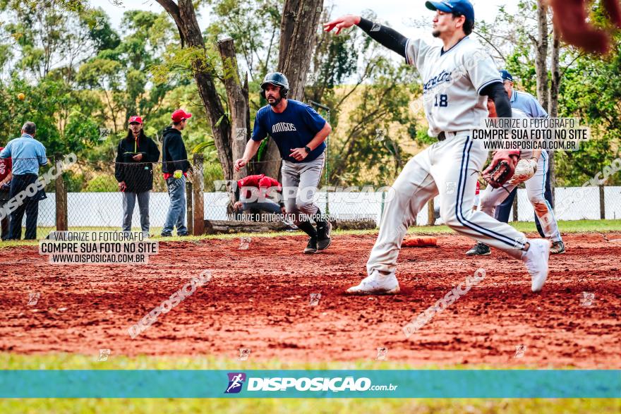 XXXII Brasileirão de Softbol