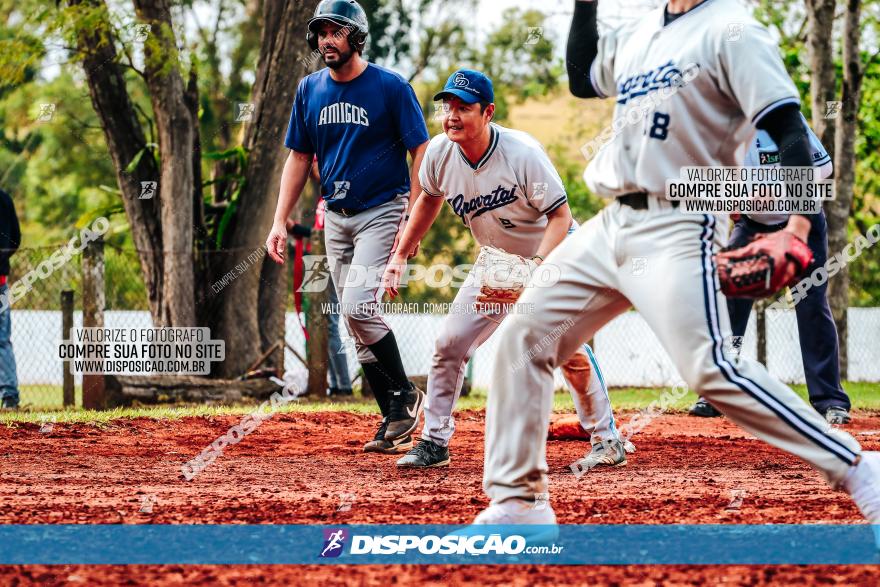 XXXII Brasileirão de Softbol