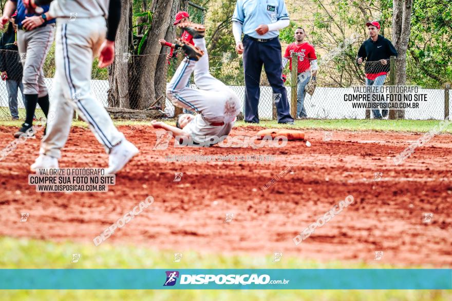 XXXII Brasileirão de Softbol