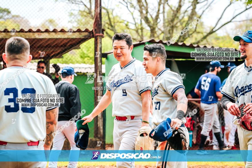 XXXII Brasileirão de Softbol