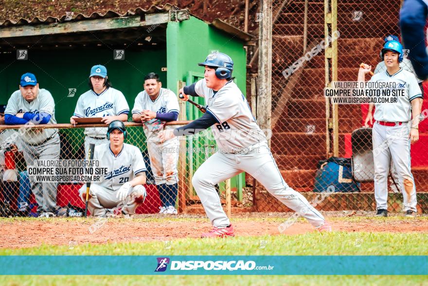 XXXII Brasileirão de Softbol