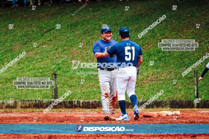 XXXII Brasileirão de Softbol