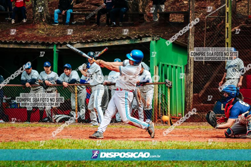 XXXII Brasileirão de Softbol