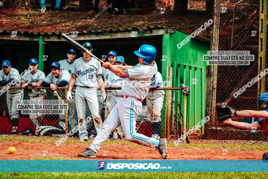 XXXII Brasileirão de Softbol