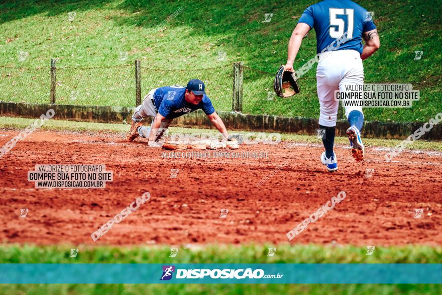 XXXII Brasileirão de Softbol