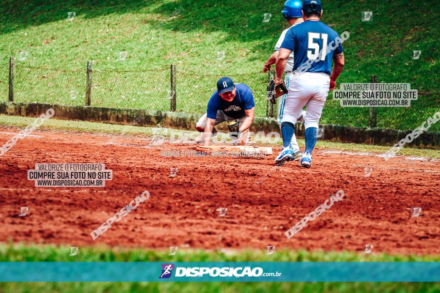 XXXII Brasileirão de Softbol