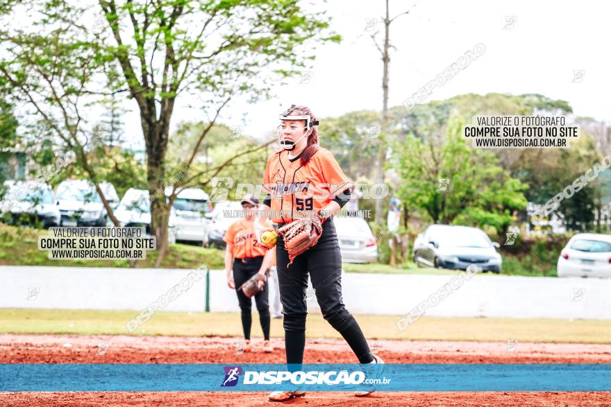 XXXII Brasileirão de Softbol