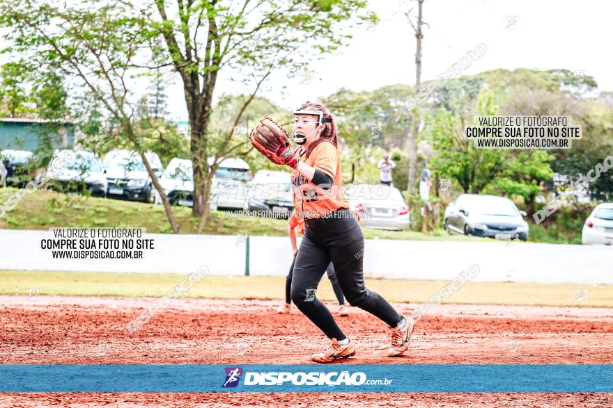 XXXII Brasileirão de Softbol