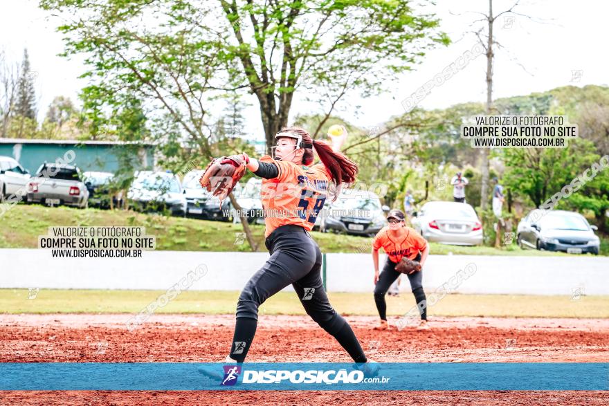 XXXII Brasileirão de Softbol