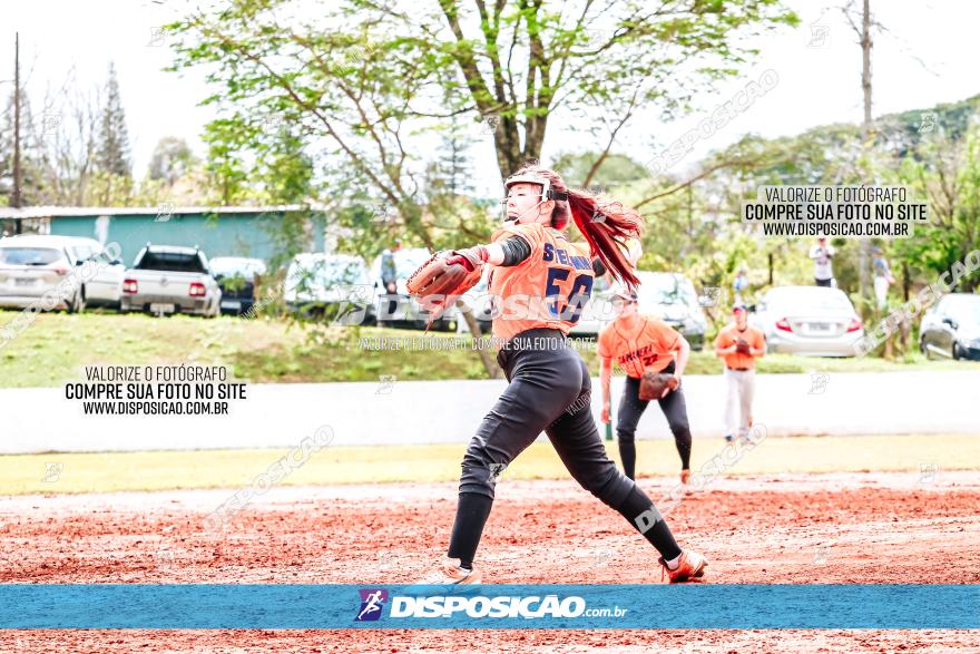 XXXII Brasileirão de Softbol