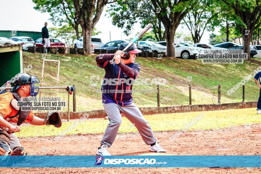 XXXII Brasileirão de Softbol