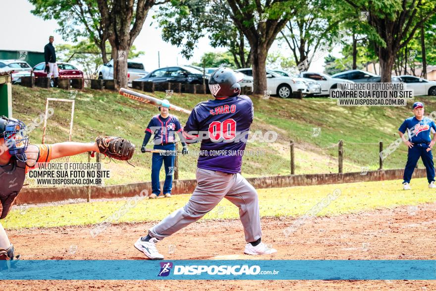 XXXII Brasileirão de Softbol