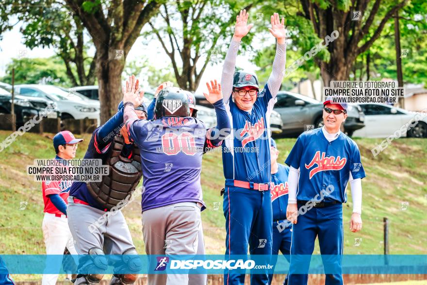 XXXII Brasileirão de Softbol