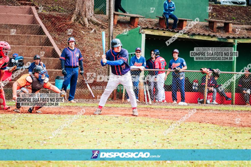 XXXII Brasileirão de Softbol