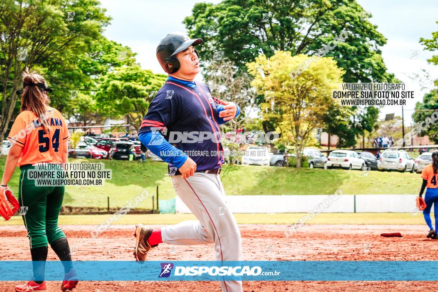 XXXII Brasileirão de Softbol