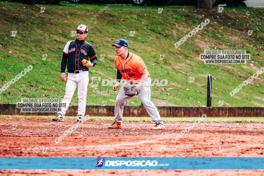 XXXII Brasileirão de Softbol