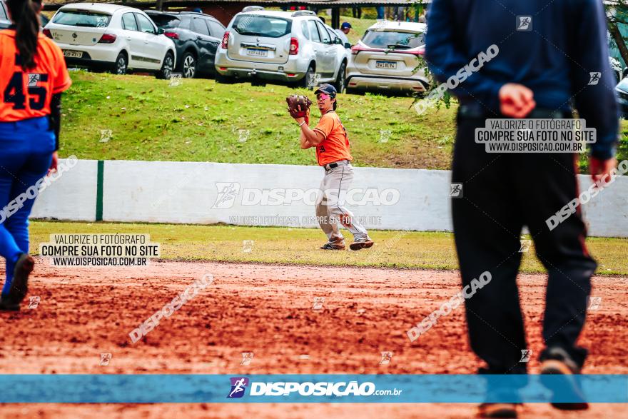 XXXII Brasileirão de Softbol