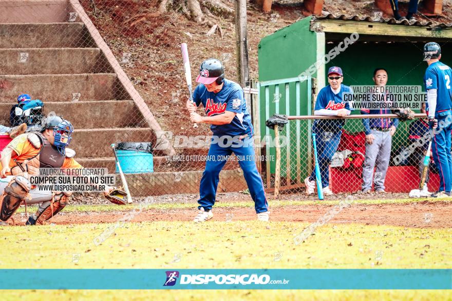 XXXII Brasileirão de Softbol