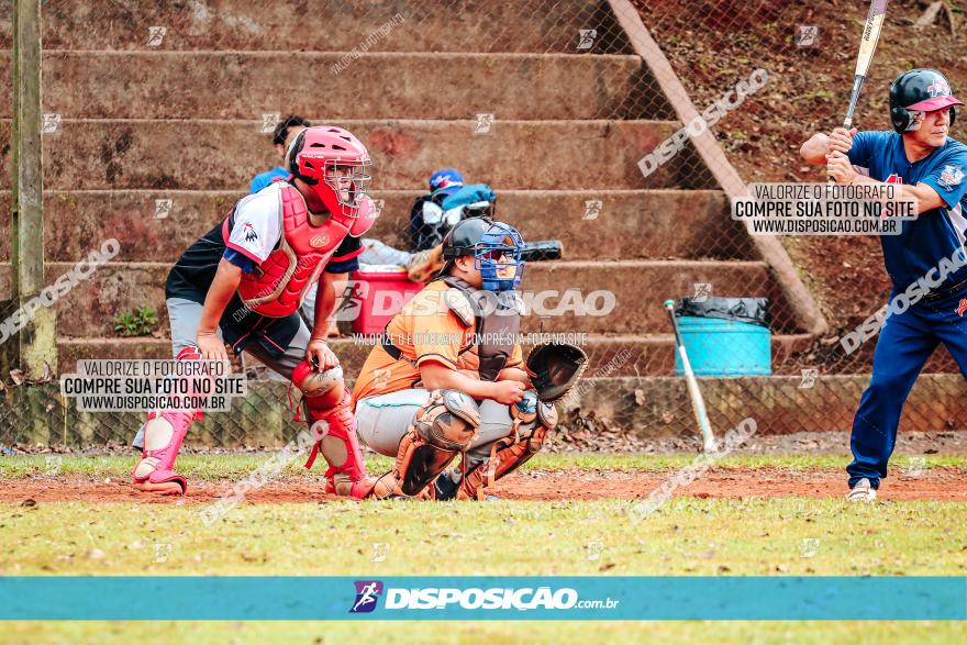 XXXII Brasileirão de Softbol