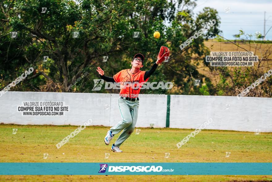 XXXII Brasileirão de Softbol