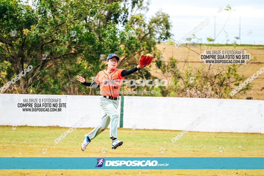 XXXII Brasileirão de Softbol