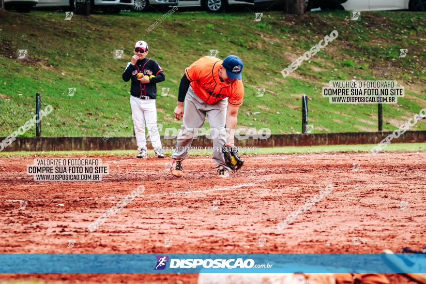 XXXII Brasileirão de Softbol