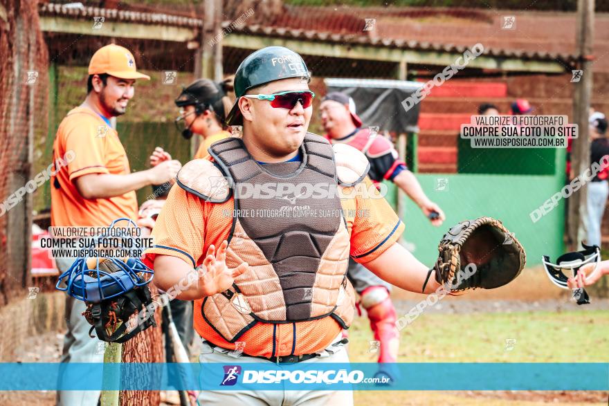 XXXII Brasileirão de Softbol