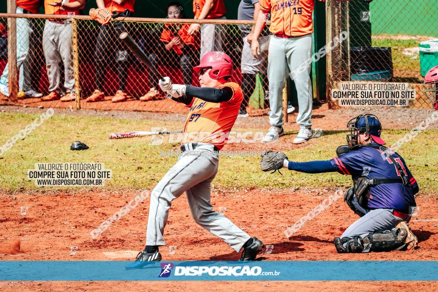 XXXII Brasileirão de Softbol