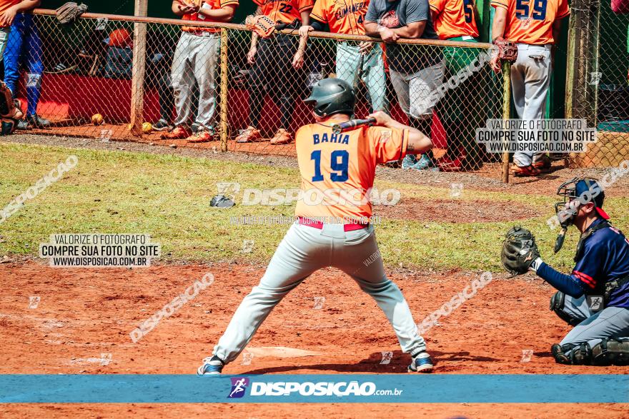 XXXII Brasileirão de Softbol