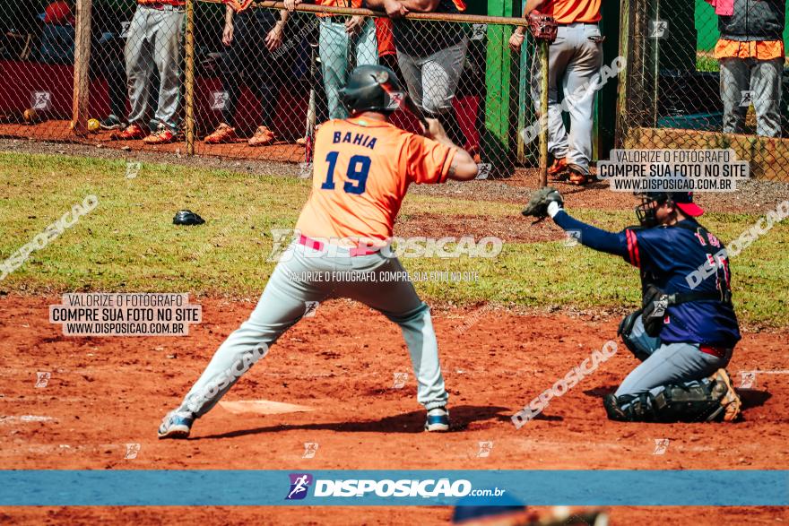 XXXII Brasileirão de Softbol