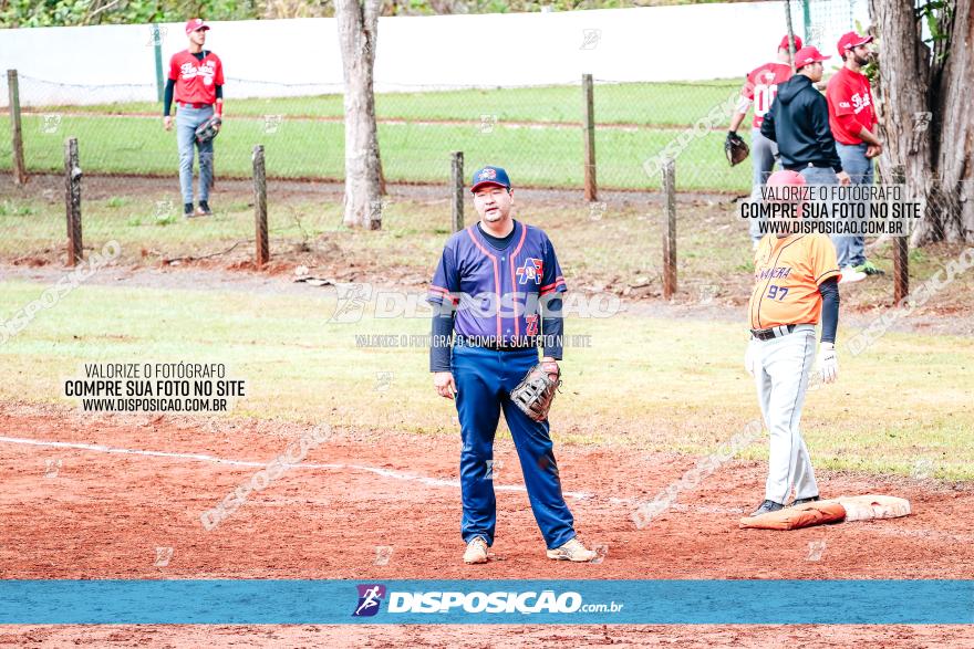 XXXII Brasileirão de Softbol