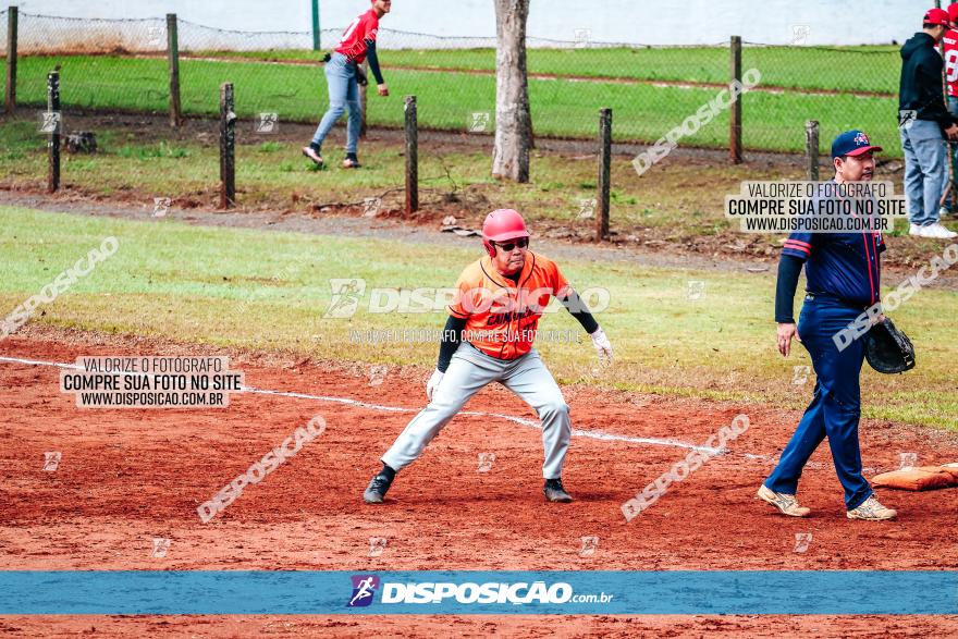 XXXII Brasileirão de Softbol