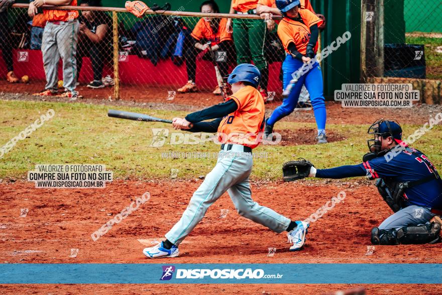 XXXII Brasileirão de Softbol