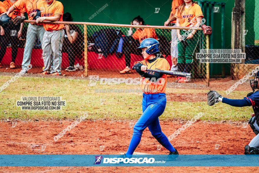 XXXII Brasileirão de Softbol