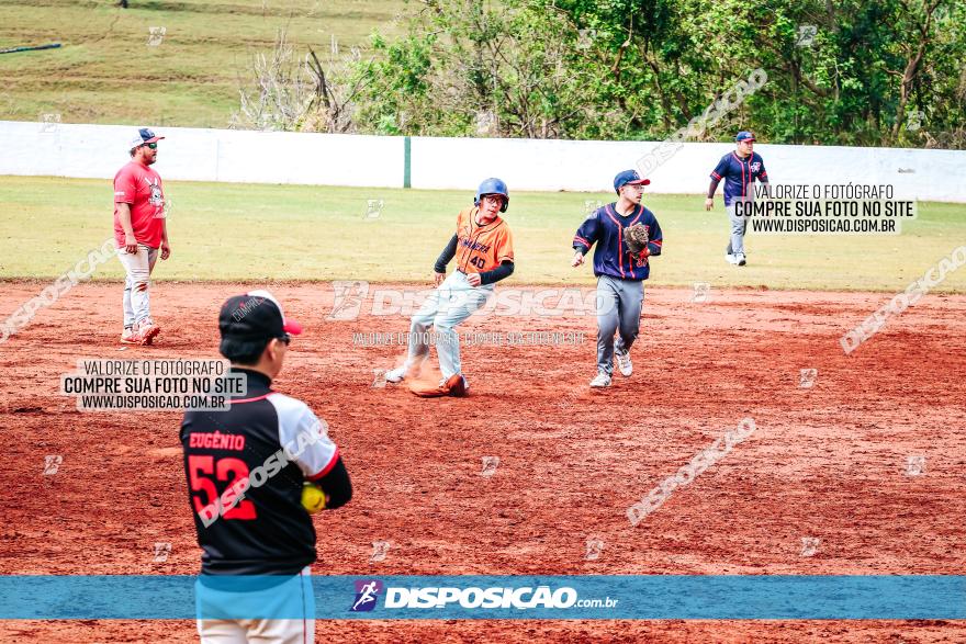 XXXII Brasileirão de Softbol